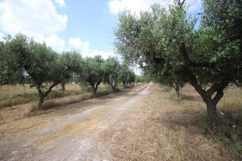 Landejendom i Calimera, Lecce, Calimera - € 135.000 | Ref:  CR001 - foto 2